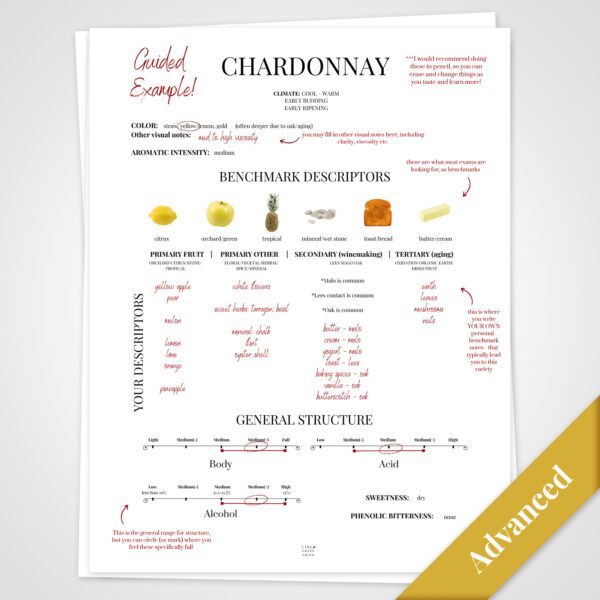 Blind Tasting Framework - Image 4