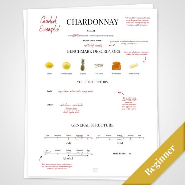 Blind Tasting Framework - Image 2