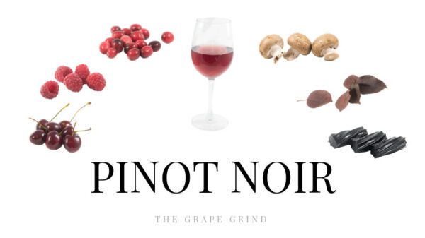 Pinot N All you need to know about Pinot Noir: A quick guide - The Grape Grind