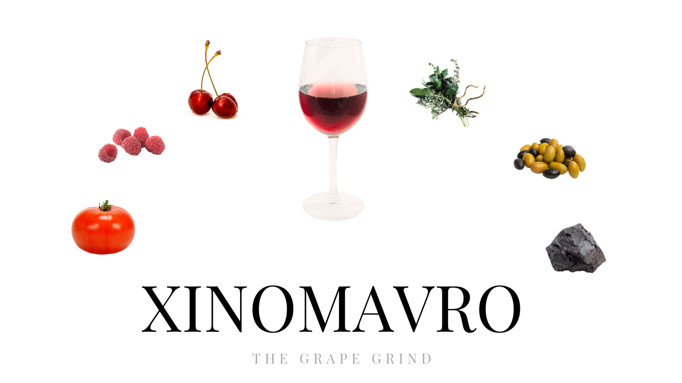 All you need to know about Xinomavro: A quick guide - The Grape Grind
