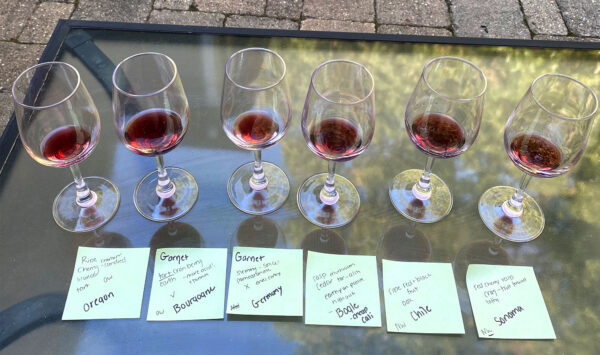 Same Grape, Different Climate: Pinot Noir | Cool vs Warm Climate